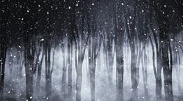 Ακόμη και τα Χριστούγεννα, γίνονται εγκλήματα