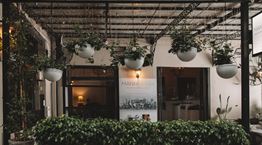 Το αθηναϊκό εστιατόριο που γοήτευσε τους New York Times και η καταπράσινη αυλή του