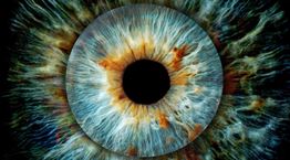 Επιστήμονες ανακάλυψαν νέο χρώμα-το ονόμασαν 'olo' και το έχουν δει μόνο 5 άνθρωποι