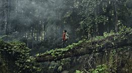 Η Ινδονησία κατασκευάζει νέα πρωτεύουσα μέσα στην ζούγκλα