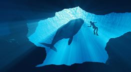 Ένας οδηγός επιβίωσης σε περίπτωση που σε καταπιεί φάλαινα