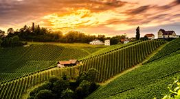 Τα 100 κορυφαία οινοποιεία του κόσμου για το 2020