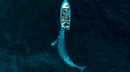 Οι ομορφότερες φωτογραφίες με drone για το 2020