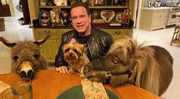 Celebrities σε καραντίνα, οι φωτογραφίες