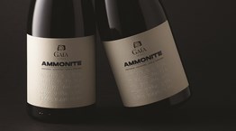 30 χρόνια εμπειρίας σε ένα Ασύρτικο