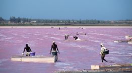 Ρέτμπα, η ροζ λίμνη της Σενεγάλης
