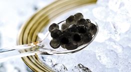 Γιατί το χαβιάρι είναι τόσο ακριβό;