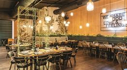 Zaatar, μία καρνιβορική όαση μέσα στην πόλη