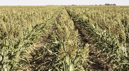 Οι προμήθειες του πλανήτη τελειώνουν και όλοι γνωρίζουμε ποιος φταίει