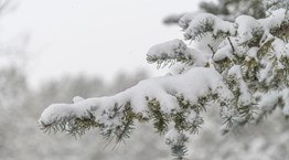 Γιατί ο Μάρτιος ήταν ψυχρότερος από τους μήνες του χειμώνα