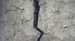 Αυτές είναι οι προβλέψεις του Νοστράδαμου για το 2024 που έχουν τρομοκρατήσει το σύμπαν