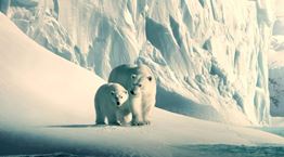 Κάποια από τα καλύτερα ντοκιμαντέρ του Netflix δωρεάν στο YouTube