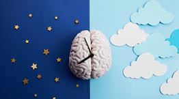 Ήξερες πως όταν κοιμάσαι, κάνεις επανεκκίνηση;