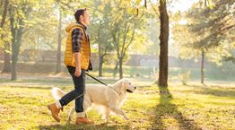 Τα οφέλη μίας απλής βόλτας είναι πολλά περισσότερα από ό,τι νομίζεις