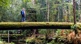 5 πράγματα που δεν ήξερες για την Τασμανία
