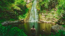 Τα αιθέρια έλαια είναι η καλύτερη εναλλακτική στα αρώματα