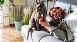 Με γάτα στο σπίτι όλα είναι καλύτερα