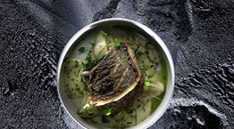 Οι Ψαράδες ρίχνουν δίχτυα σε πελάγη νοστιμιάς