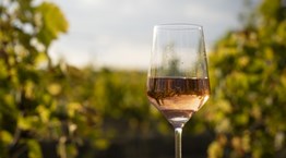 Οι Βάκχες έρχονται και πάλι στο Ρομάντσο