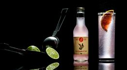 Παγκόσμια Ημέρα της Paloma μαζί με τα Three Cents