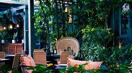 The Albion, restart σε έναν από τους πιο δροσερούς κήπους της Αθήνας