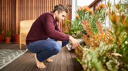 Πώς θα επιβιώσουν τα φυτά σου όσο λείπεις διακοπές