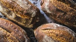 Πόσο ψωμί επιτρέπεται να φας μέσα στην εβδομάδα, σύμφωνα με το Harvard