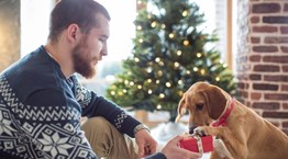 Ο απόλυτος οδηγός για τα χριστουγεννιάτικα δώρα σου