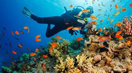 Tips για τέλειες καταδύσεις