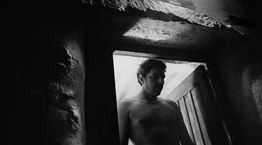 Η "Βληχή" του Γιώργου Λάνθιμου έρχεται από πολύ μακριά