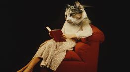 Βιβλία για άντρες, γραμμένα από γυναίκες