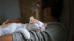 Πώς θα κοιμάσαι καλύτερα, σύμφωνα με το Harvard