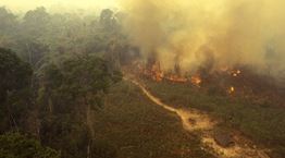 Φλέγεται και πάλι ο Αμαζόνιος