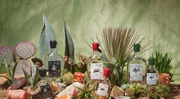 The Lost Explorer Mezcal| Το δώρο που σε προκαλεί να ζήσεις τη στιγμή