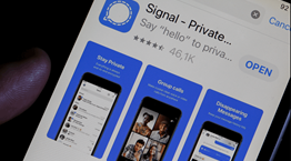 Οι θυμωμένοι συντηρητικοί στρέφονται προς Signal και Telegram