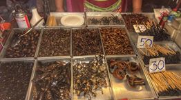 8 &#39;φαγητά&#39; του μέλλοντος για γερό στομάχι