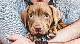 Κι όμως, οι αγκαλιές δεν αρέσουν στον σκύλο σου