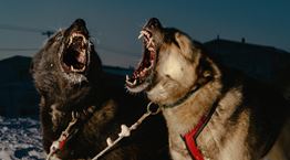 Εικόνες από τη ζωή στην πιο απομακρυσμένη πόλη της Αλάσκα