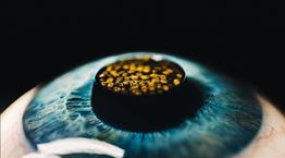 Τι μας αφήνει πίσω το 2025 σε μπαρ, εστιατόρια, φαγητό και ποτό