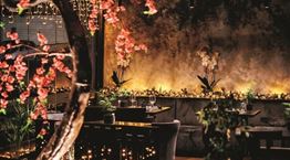 Στο Rakkan για ιαπωνική fusion με ελληνική χροιά