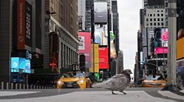 Φωτογραφίες από την αποκλεισμένη Νέα Υόρκη