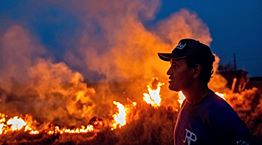 Ο Jair Bolsonaro χρησιμοποιεί τον κορονοϊό για να εξοντώσει τον Αμαζόνιο