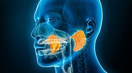 Σιελογόνοι αδένες: Παθήσεις και αντιμετώπιση