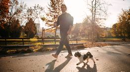 Ποια είναι η καλύτερη ώρα για να βγάλεις τον σκύλο σου βόλτα
