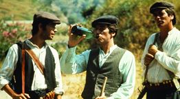 8 ταινίες με πρωταγωνιστή το τοπίο