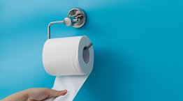 Σε ποιες χώρες επιτρέπεται να πετάς το χαρτί υγείας μέσα στη λεκάνη;