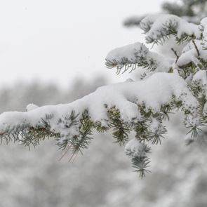 Γιατί ο Μάρτιος ήταν ψυχρότερος από τους μήνες του χειμώνα
