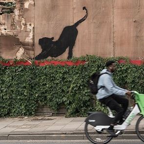 O Banksy και τα ζώα του στο Λονδίνο