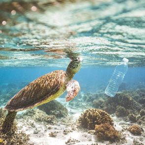 Πόσα πλαστικά υπάρχουν στη θάλασσα-Ο σοκαριστικός αριθμός