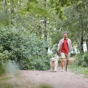 Καλό θα είναι να προσέχεις διπλά όταν μαζεύεις τα κακά του σκύλου σου